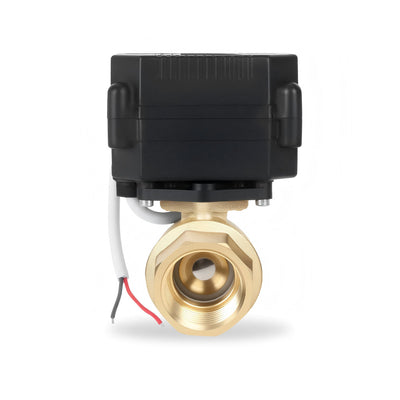 1/2" DN15 Brass Ball,Motorized Ball Valve and 2 Wire Auto Return,AC110-230V
